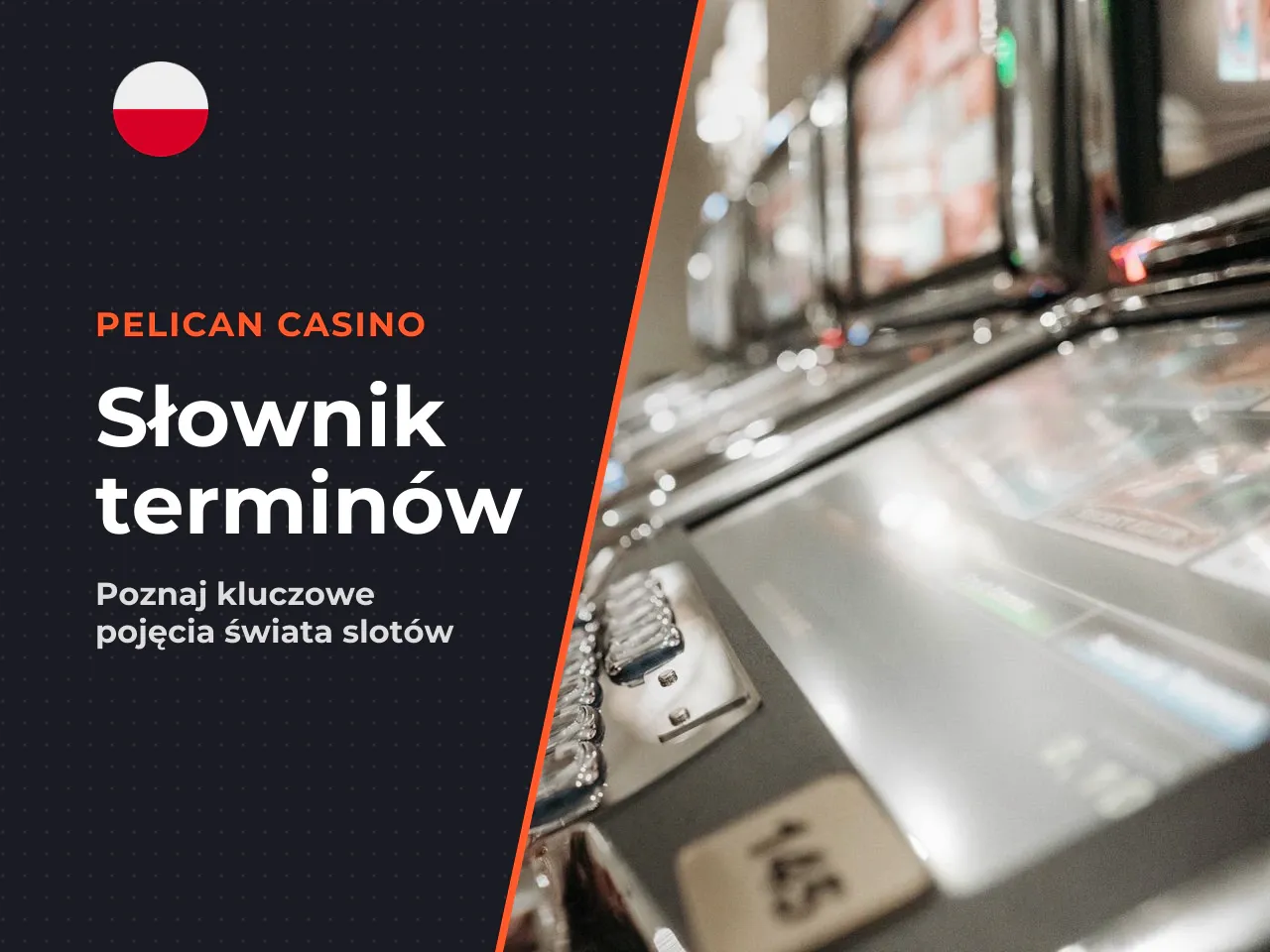 Słownik terminów dla początkujących