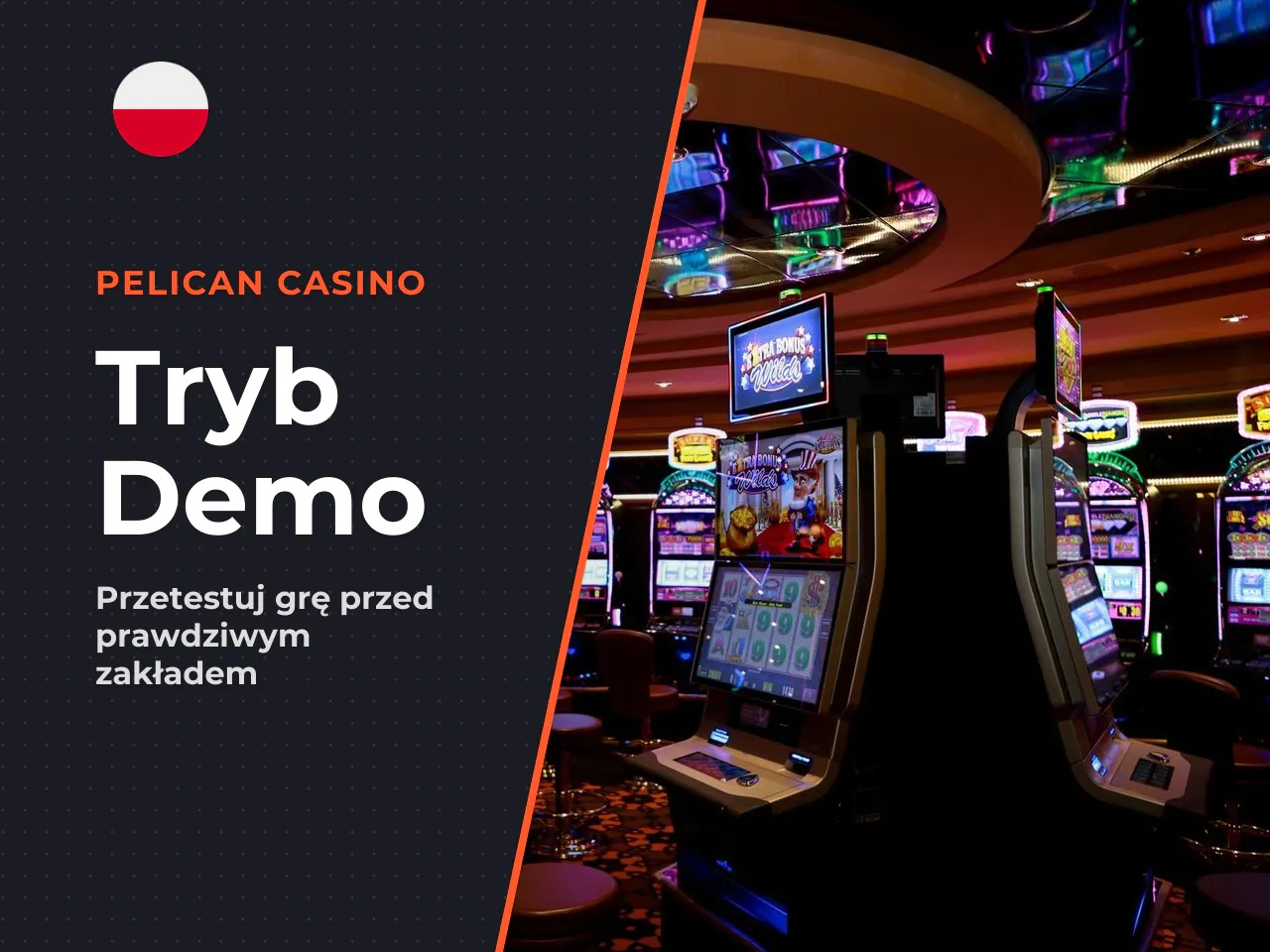 Dla kogo jest wersja demo, a